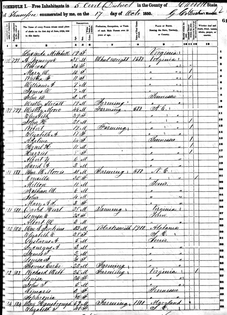 1850 US Census, Carroll County, TN, for David and Louisa Hurt