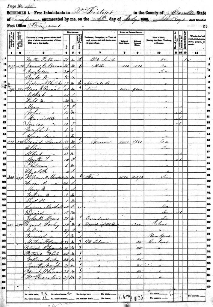 1860 US Census, Carroll County, TN, for David and Ellen Hurt