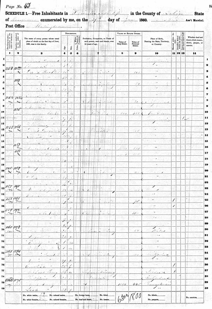 1860 United States Federal Census - Permilla Showeriskey