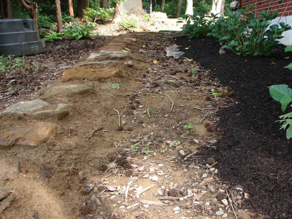 west side yard, facing north, pathway project 01