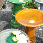 Bird Baths