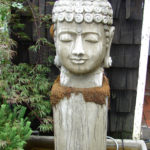 Buddha Head