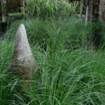 Mushroom in Grass