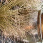 Shiny Pot with Brown Grass