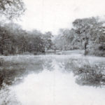 View Along Spring Creek, Near Bellefonte, PA